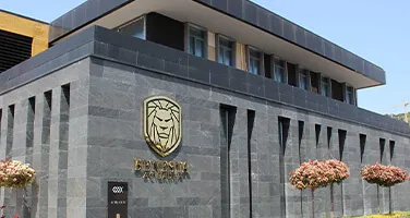 Han Stone fotoğraf 1